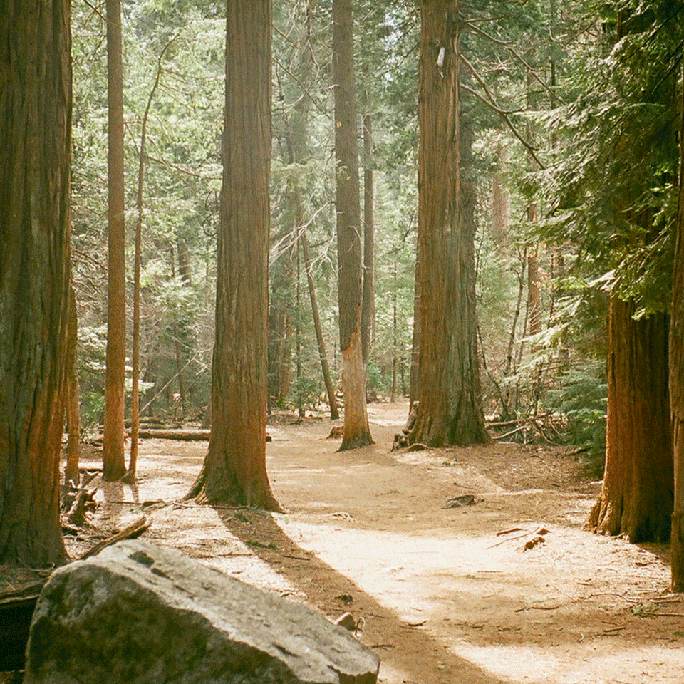 Pictures of Hike Clerb, an outdoor community-based non-profit reimagining an equitable and inclusive outdoors.