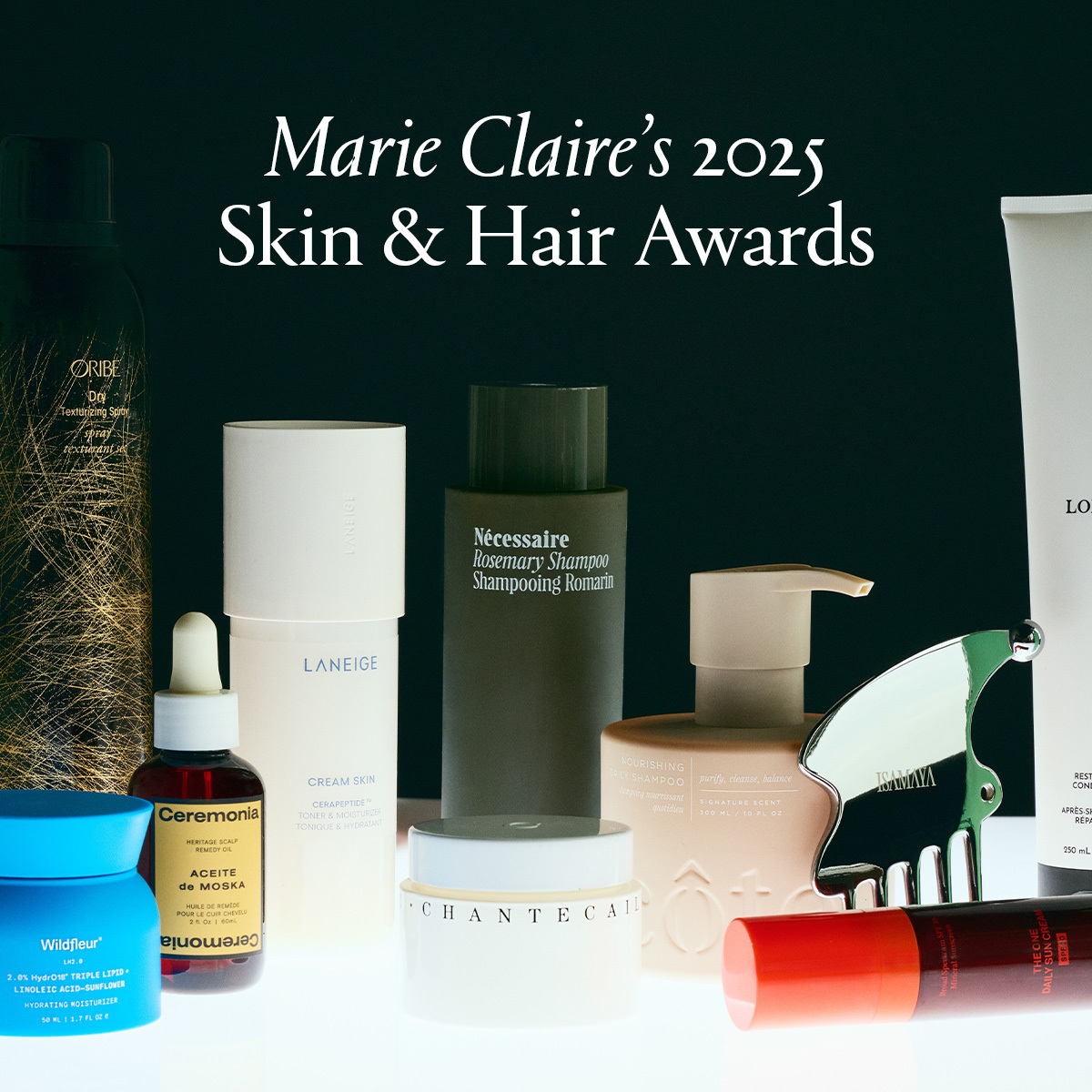 Hero of some products that won the 2025 skin and hair awards including flamingo estate soap, necessaire shampoo, lolavie conditioner, laneige toner and moisturizer, and more